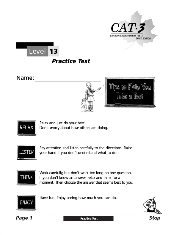 CAT3 practise test Lv13